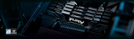 Kingston Fury Renegade DDR5 with Module 1x48GB and Speed 6400 for Desktop