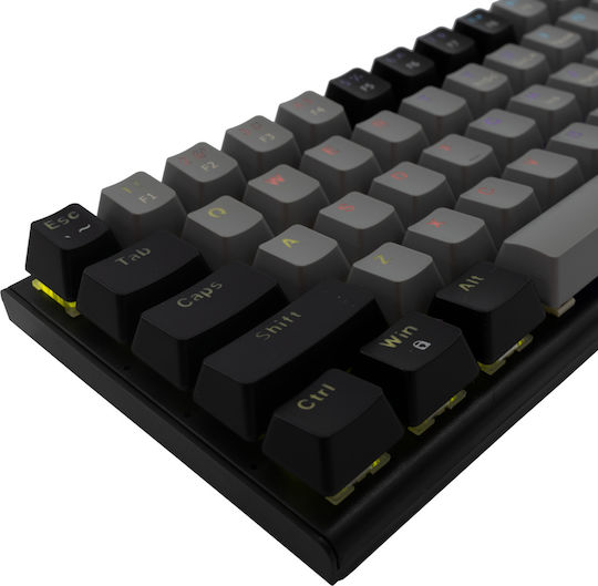White Shark WAKIZASHI Gaming Mechanische Tastatur mit Benutzerdefiniert Blau Schaltern und RGB-Beleuchtung (Englisch US) Grey/Black