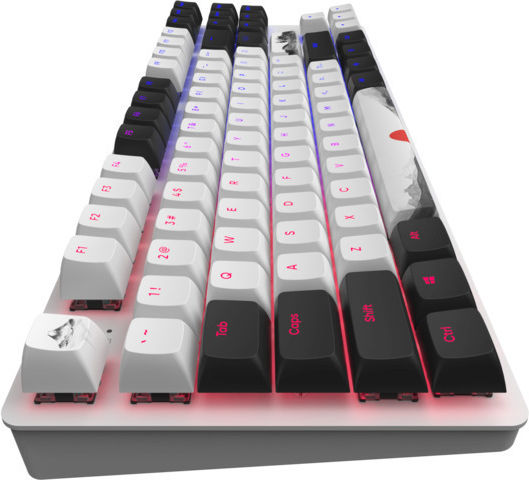 Dark Project 87 FUJI Gaming Mechanische Tastatur Tenkeyless mit G3MS Sapphire Schaltern und RGB-Beleuchtung (Englisch US) Mehrfarbig