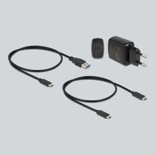 DeLock Hard Drive Docking Station PCIe/SATA M.2(2280)" with Connection USB-C (64138)