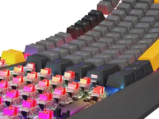 Genesis Thor 230 TKL Gaming Mechanical Keyboard Tenkeyless with Outemu Red switches and RGB lighting (English US) Anchor Gray Positive