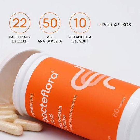 Olonea Bacteflora Plus Συμπλήρωμα με Προβιοτικά & Πρεβιοτικά 60 φυτικές κάψουλες