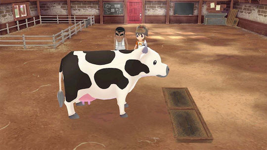 Story Of Seasons: A Wonderful Life Limited Издание Игра за Switch