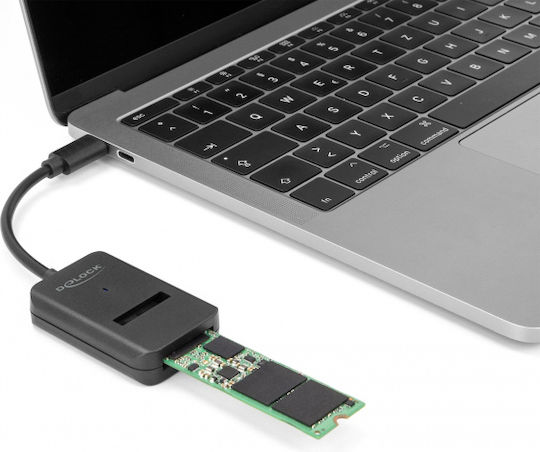 DeLock 64198 M.2 NVMe PCIe - USB-C Schwarz
