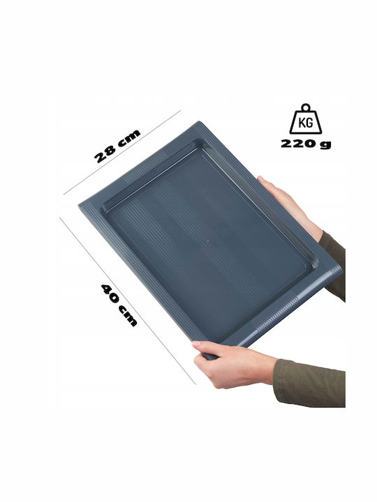 Kadax Plastic Dreptunghiular Tavă de Servire cu Mânere în Culoare Gri 40x28cm 32995 1buc