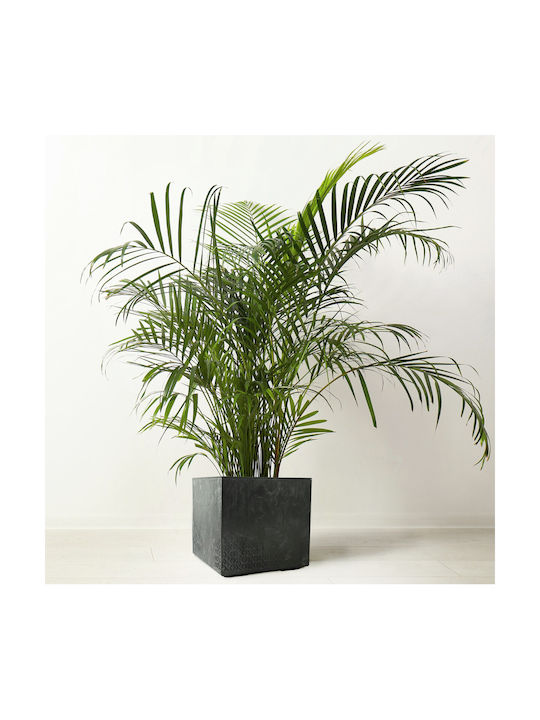 Kadax Flower Pot Planter High 40cm Garden Box On Wheels Eco