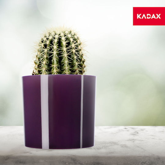 Kadax Ghiveci de Flori 13.5cm Culori