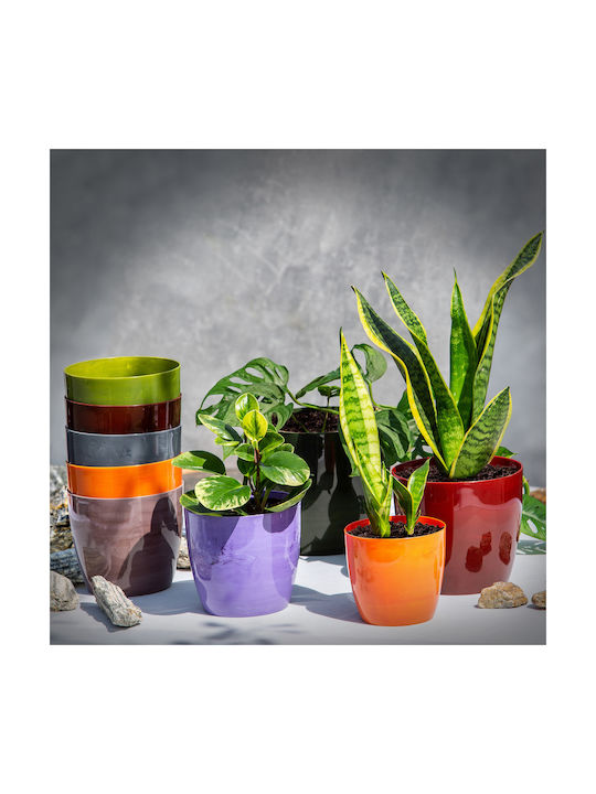 Husă Ghiveci de Flori Kadax 12cm Marmură Mov pentru Living