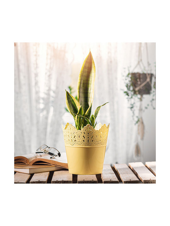 Kadax Flower Pot Planter 12cm