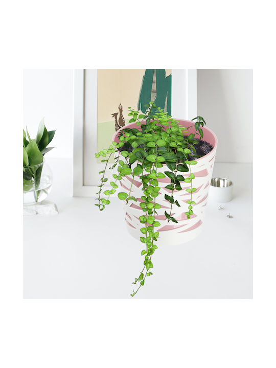 Kadax Flower Pot Plastic Planter Insert Plants 15 Cm Pink