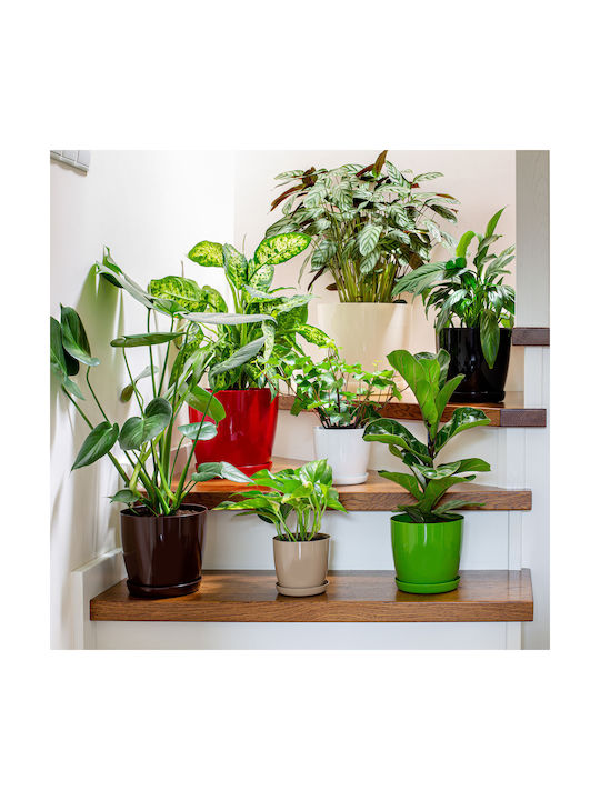 Kadax Blumentopf Abdeckung Gelb 28cm