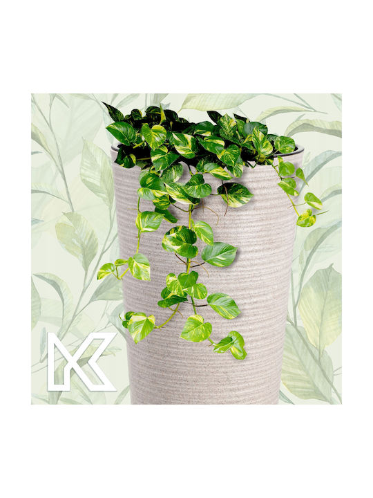 Kadax Set 3 Blumentöpfe Pflanzkübel Hoch Garten Beige 57cm