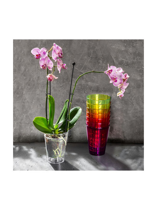Kadax Orchid Pot Cover Transparent 12cm