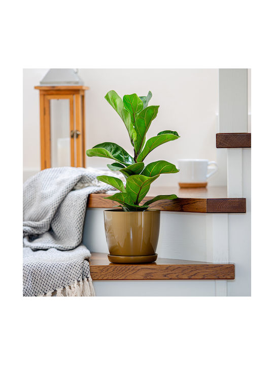 Kadax Flower Pot Cover Base Gold 18cm