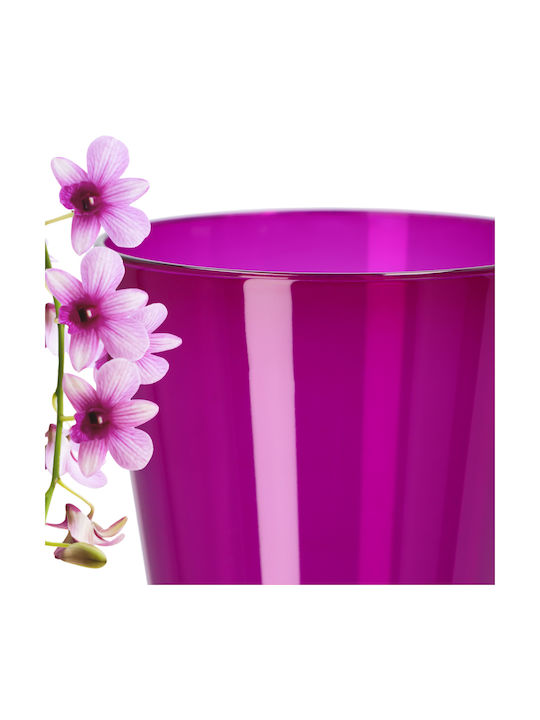 Kadax Orchid Pot Cover Plastic Flower Pot 12 Cm Purple