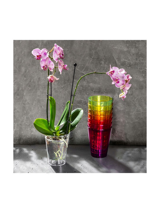 Kadax Orchid Pot Cover Plastic Flower Pot 12 Cm Purple