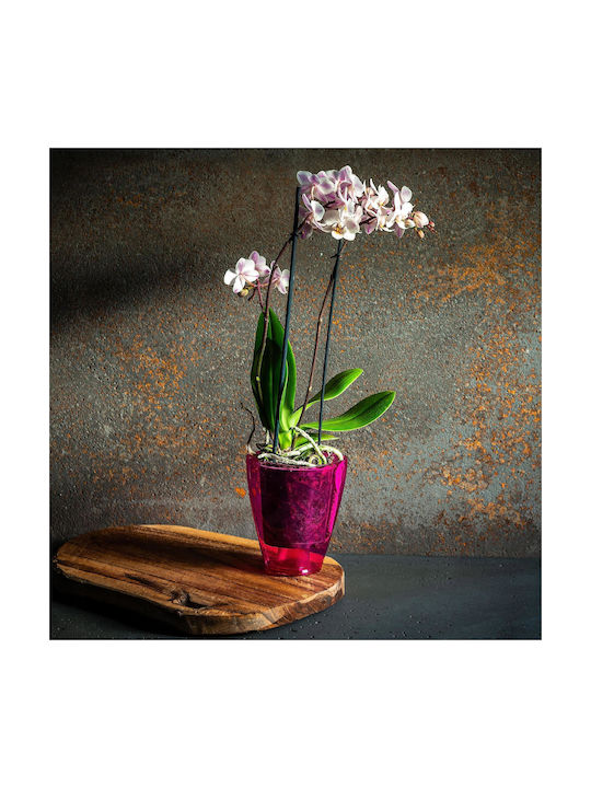 Kadax Orchideen-Übertopf Kunststoff-Blumentopf 12cm Pink
