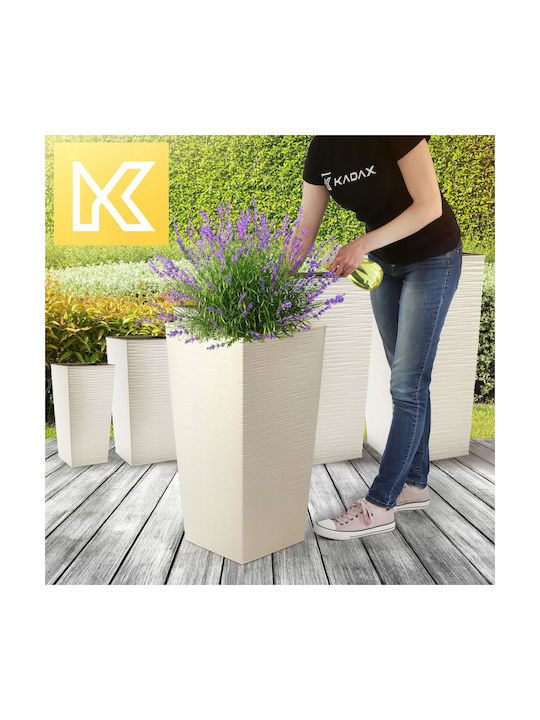 Kadax Set 3 Ghivece Plastice