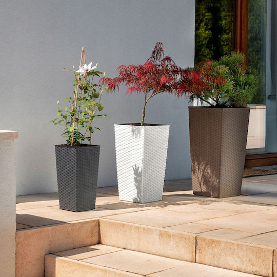 Kadax Set 3 Planters Rattan Insert White 75cm