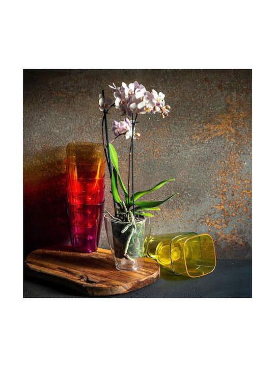 Kadax Orchid Pot Cover Plastic Flower Pot 9cm Honey
