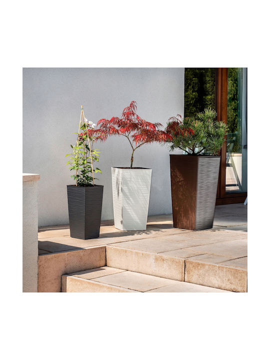 Kadax Set 3 Ghivece Plastice