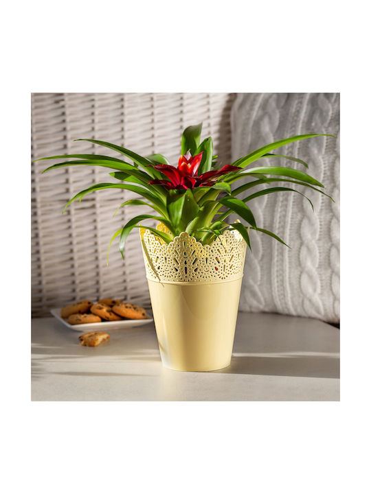 Kadax Flower Pot 16.5cm Colors