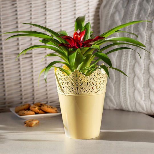 Kadax Flower Pot 16.5cm Pink Colors
