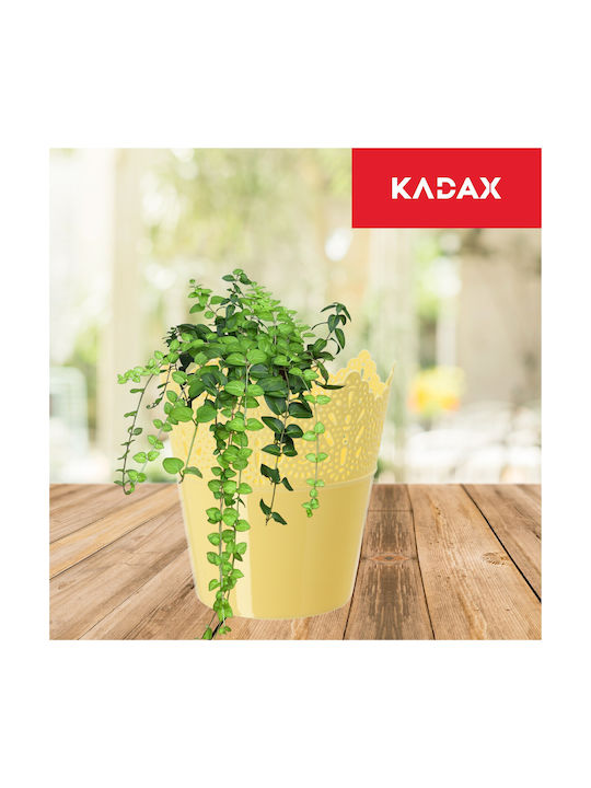 Kadax Flower Pot 16.5cm Colors