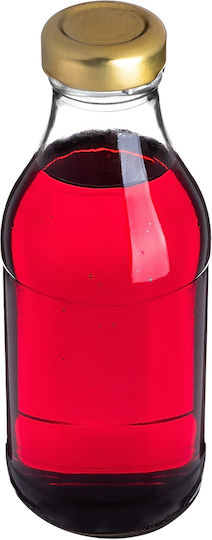 Kadax Fläschchen aus Glas 330ml (24Stück)