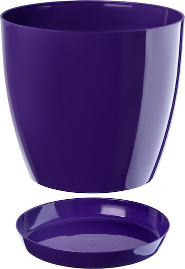 Kadax Pot Saucer Plastic Cover Pot 16cm Purple Flowers