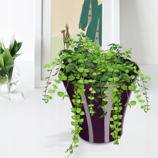 Kadax Blumentopf 16cm Schale