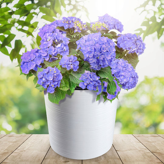 Kadax Flower Pot Eco White 30cm