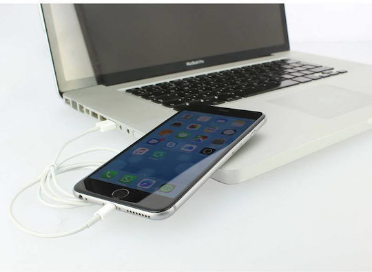 Pulse USB-A to Lightning Cable 1m (cr0031440)