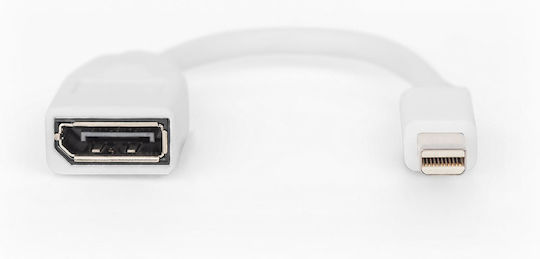 Digitus Converter mini DisplayPort male to DisplayPort female White 1pcs DB-340405-001-W