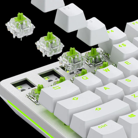 Glorious GLO-SWT-RAPTOR-LUBED Tastatur-Schalter Raptor Clicky - 36Stück Lubed
