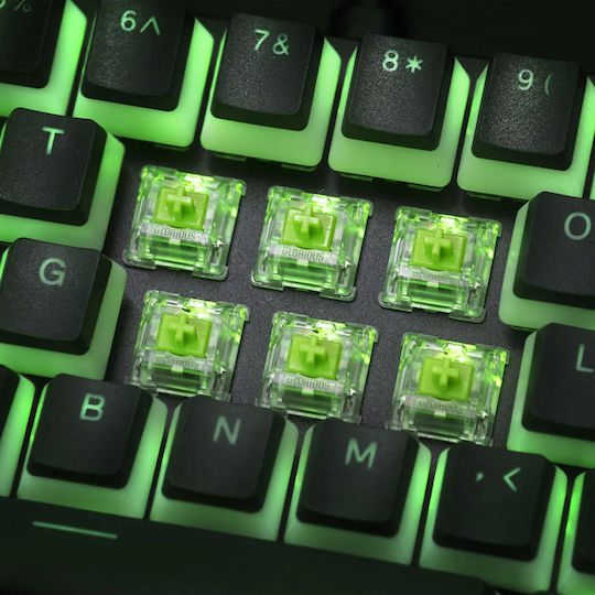 Glorious GLO-SWT-RAPTOR-LUBED Tastatur-Schalter Raptor Clicky - 36Stück Lubed