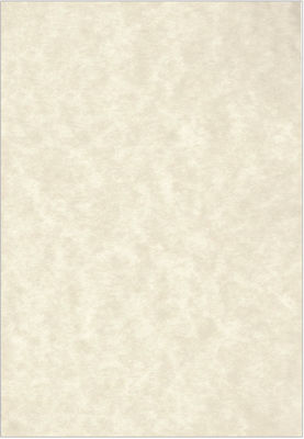 Premium Fine Paper Hârtie de Imprimare Papyrus A4 180gr/m² 1x125 foi Bej 810.180.2054