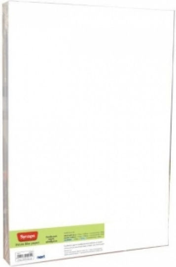 Next Synaps Χαρτί Εκτύπωσης 33x48.8cm 300gr/m² 20 φύλλα