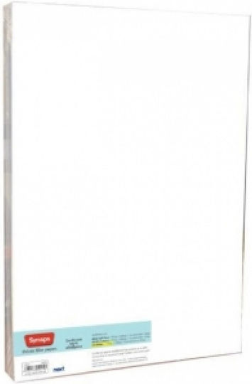 Next Synaps Χαρτί Εκτύπωσης 33x48.8cm 170gr/m² 20 φύλλα