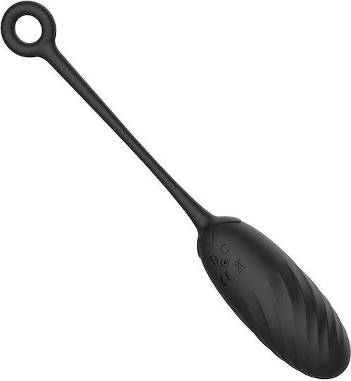 Passion Labs Vibrator Egg Negru