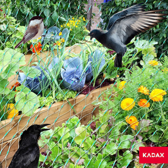 Kadax Δίχτυ Απώθησης Πουλιών 8x50m