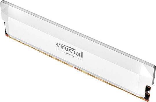 Crucial Pro DDR5 with Module 1x16GB and Speed 6000 for Desktop