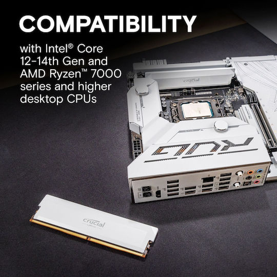 Crucial Pro DDR5 with Module 1x16GB and Speed 6000 for Desktop