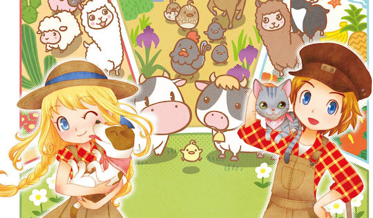 Story of Seasons Trio of Towns 3DS Game