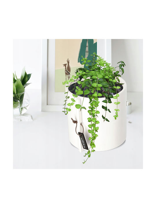 Kadax Flower Pot in White Color 148999