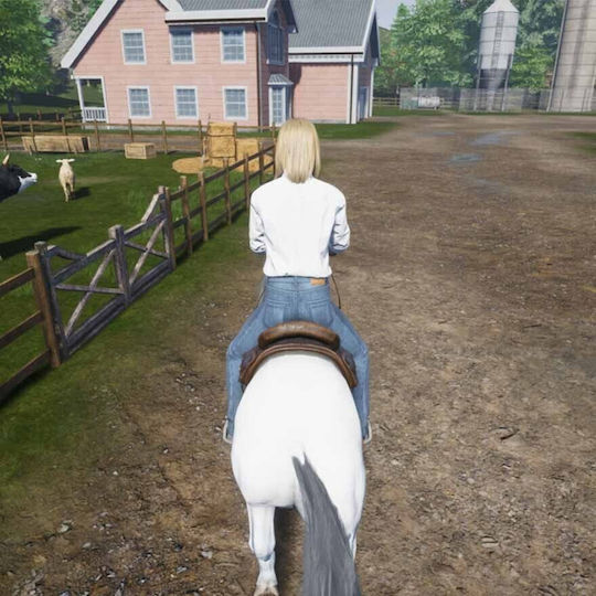 My Life: Farm Vet PS5 Game