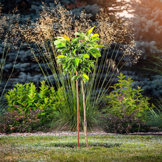 Par Stake de Suport pentru Plante din Lemn Kadax 120cm 1buc