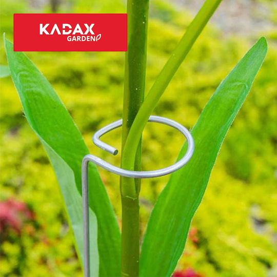Kadax Stützhalter Pflanzen Blumen Rosen Stahl 60 cm
