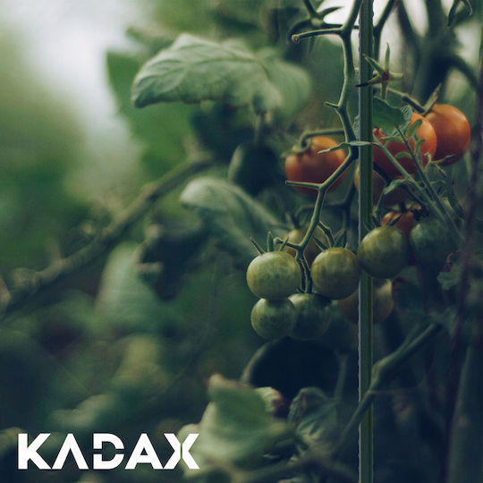 Метална опора за растения Kadax 120+150см 20бр
