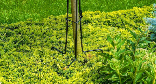Kadax Plant Support Clamp Stand for Climbing Roses Steel 90cm